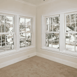 Double Hung Windows