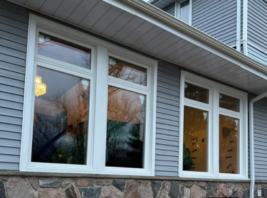 Windows Brampton 12 Untitled design 18
