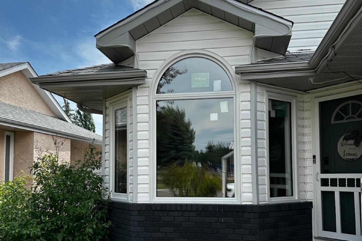 Windows Kings 4 jhgdfu